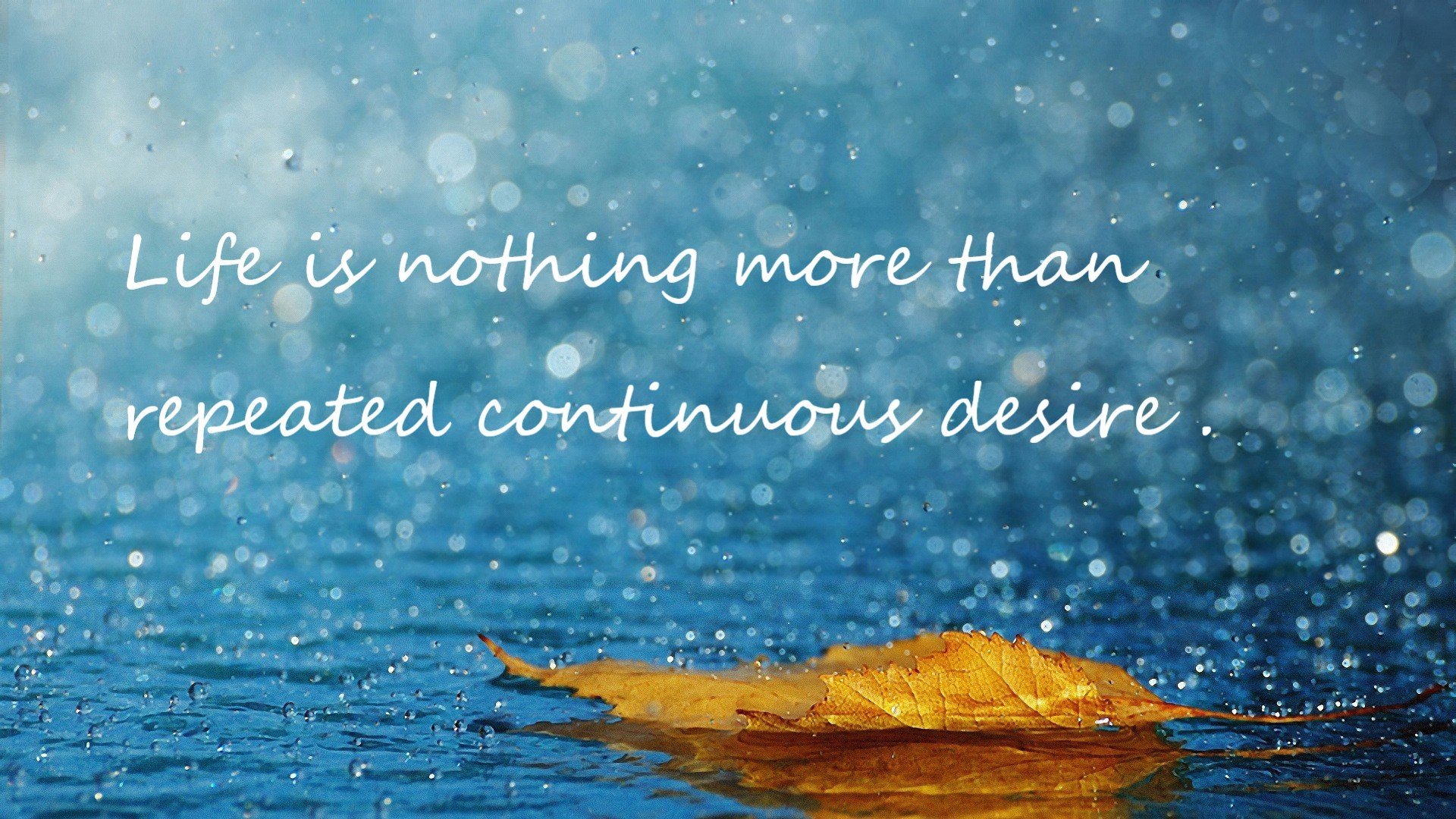 弗拉霍维奇单骑破双雄,一场虚构对决中的统治级数据启示录