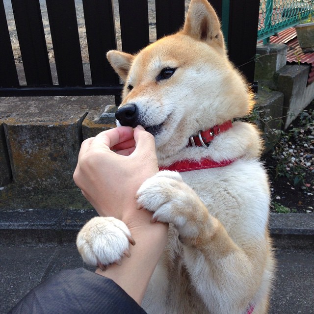 苏亚雷斯主宰之夜,世界排名争夺战的辉煌瞬间