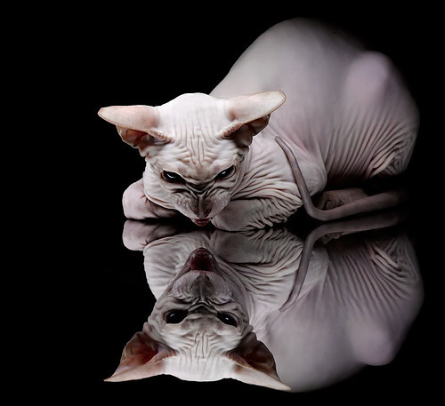 冷风与星光，当牙买加掀翻沙特，久保建英正加冕硬仗之王