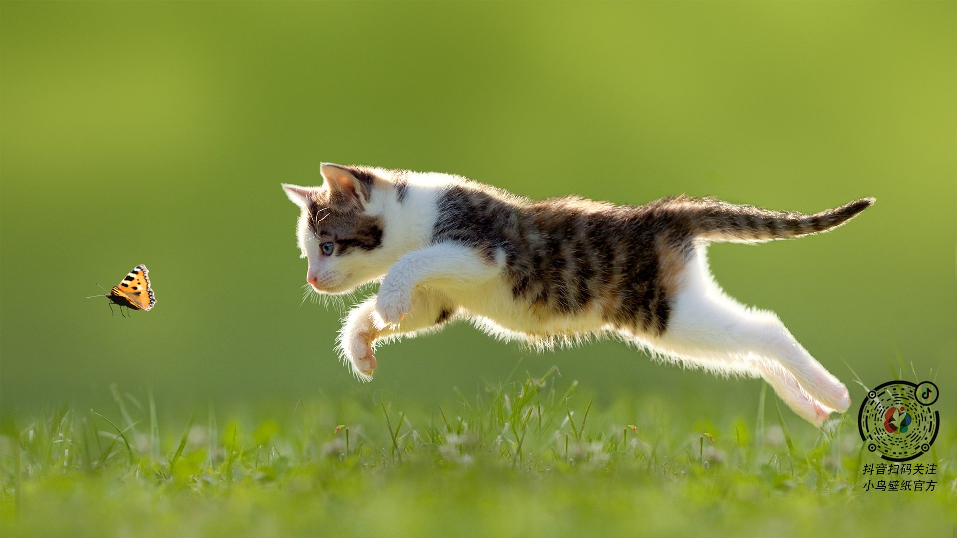 开云官网-另一个战场的启示,欧冠决战与纽约烽烟,诠释何为终极较量