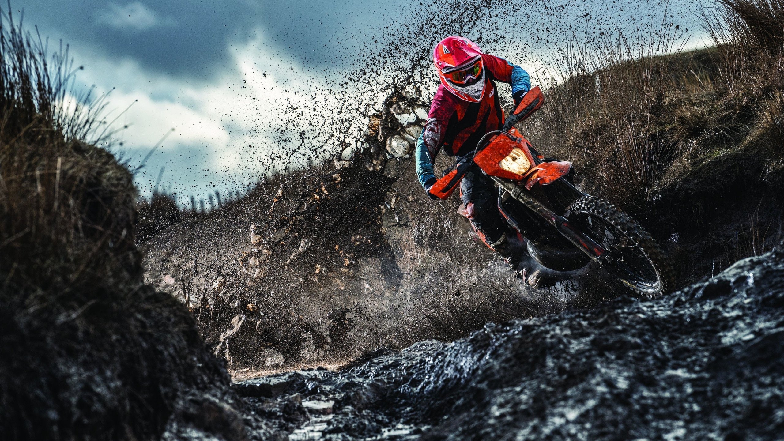 新王当立,贝林厄姆的指挥与德国战车永不熄灭的意志火焰