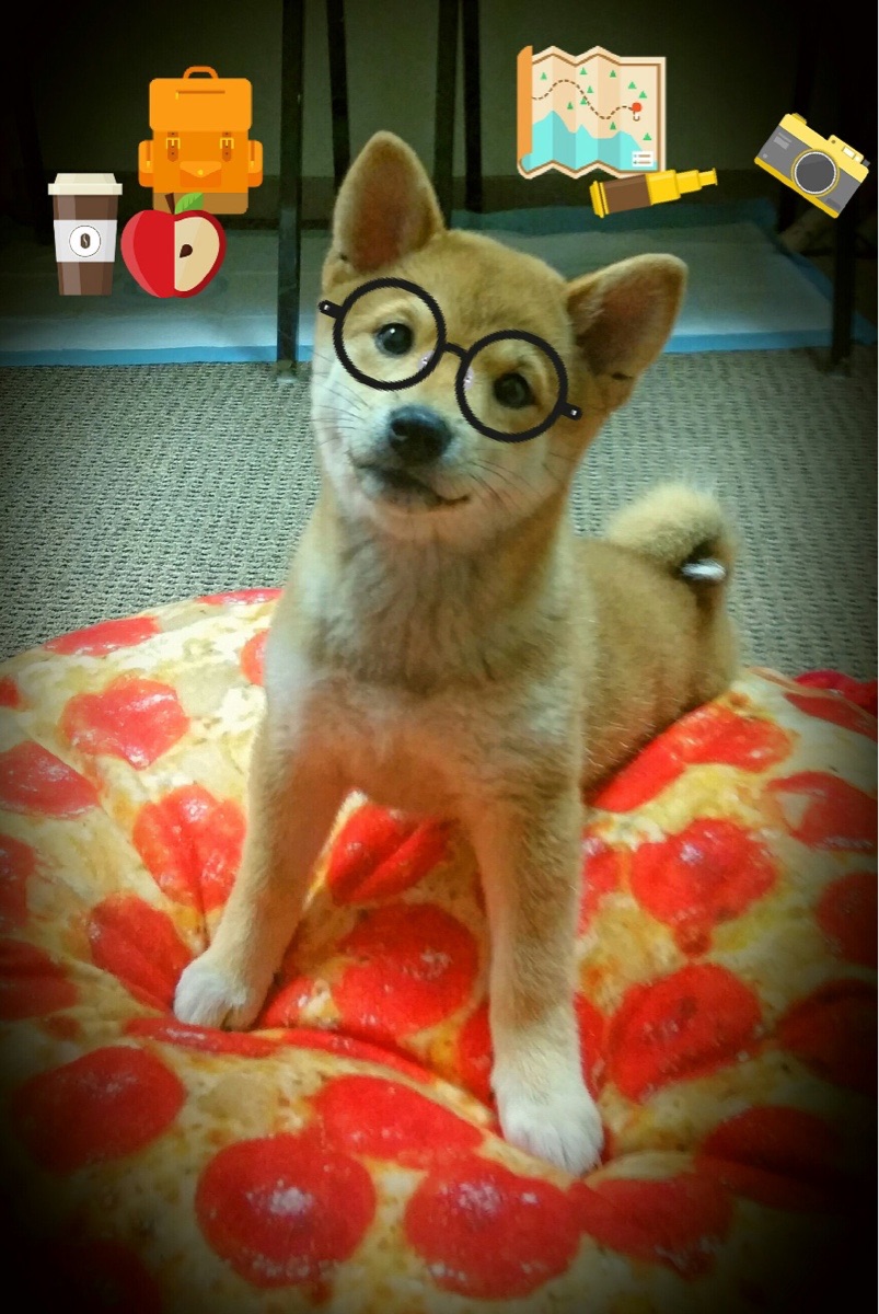 开云体育-开场引擎的咆哮,奇才的速度与魔法