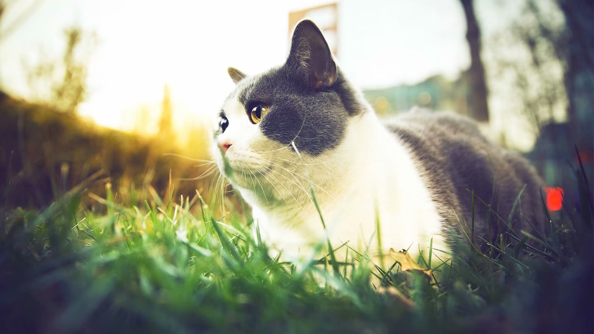 开云体育入口-指尖翻转的星河，乔治季后赛之夜掌控全场